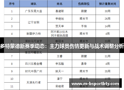 多特蒙德新赛季动态：主力球员伤情更新与战术调整分析