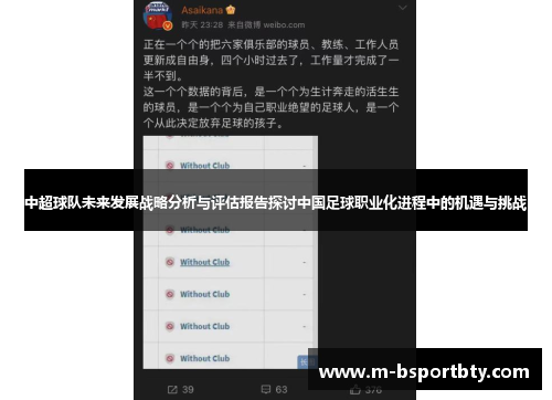 中超球队未来发展战略分析与评估报告探讨中国足球职业化进程中的机遇与挑战