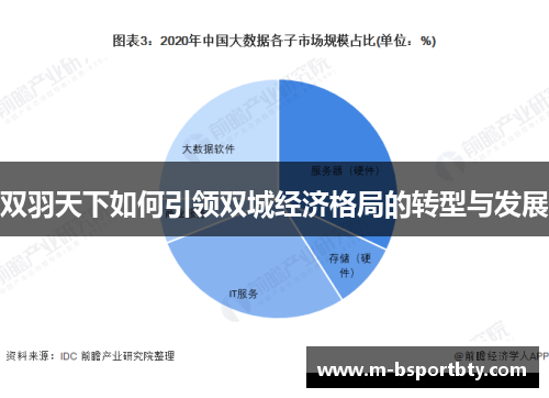 双羽天下如何引领双城经济格局的转型与发展