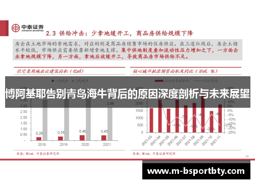 博阿基耶告别青岛海牛背后的原因深度剖析与未来展望
