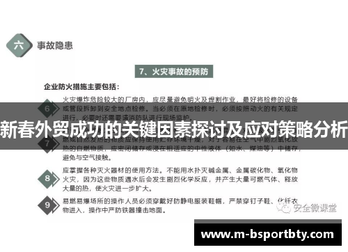 新春外贸成功的关键因素探讨及应对策略分析