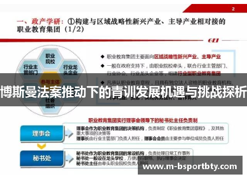 博斯曼法案推动下的青训发展机遇与挑战探析