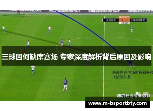 三球因何缺席赛场 专家深度解析背后原因及影响