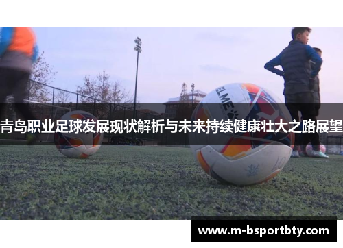 青岛职业足球发展现状解析与未来持续健康壮大之路展望